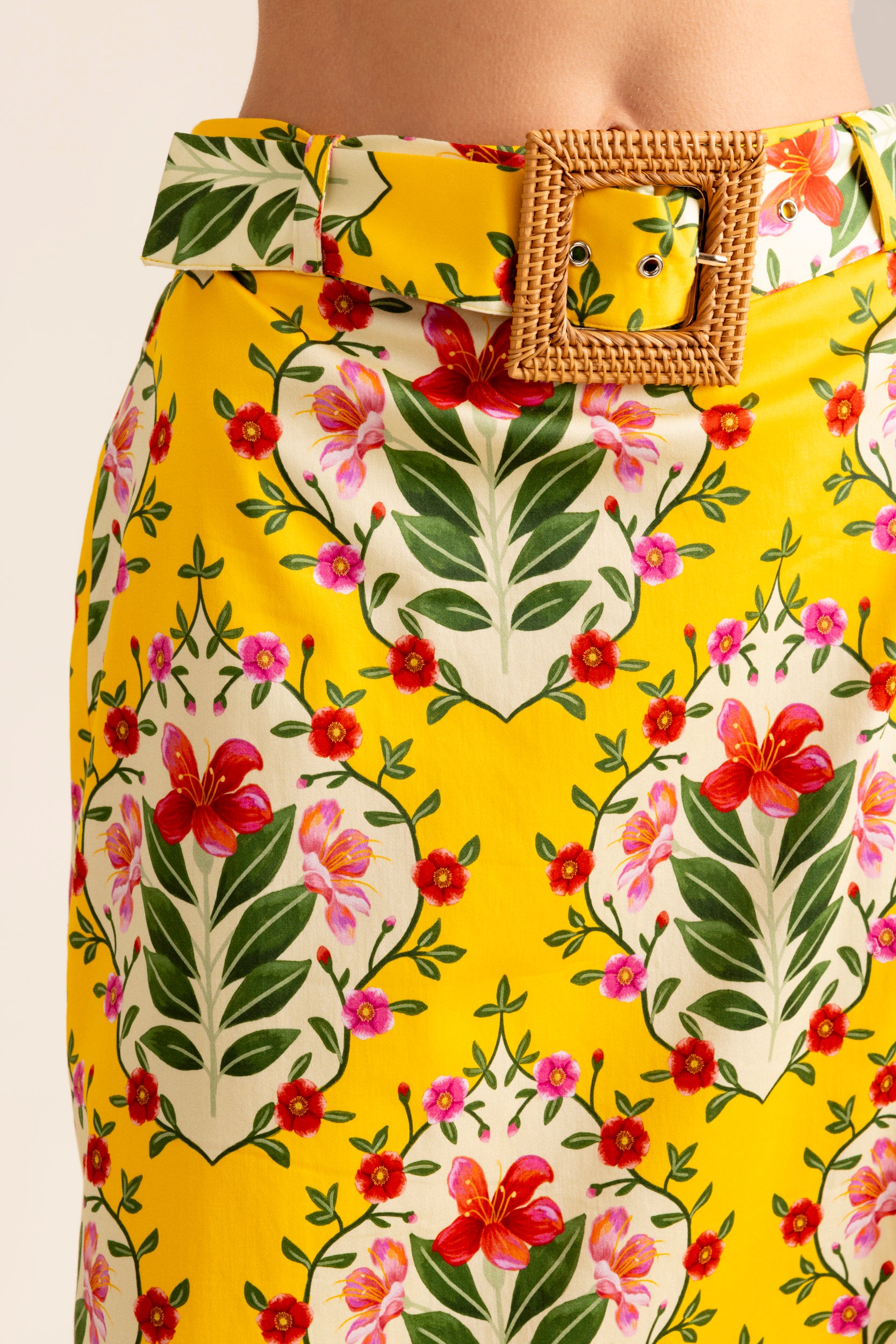 Alden Skirt main image 1