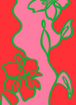 Fuchsia Outline